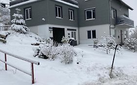 Fünf Harzer Berge. Rehberg